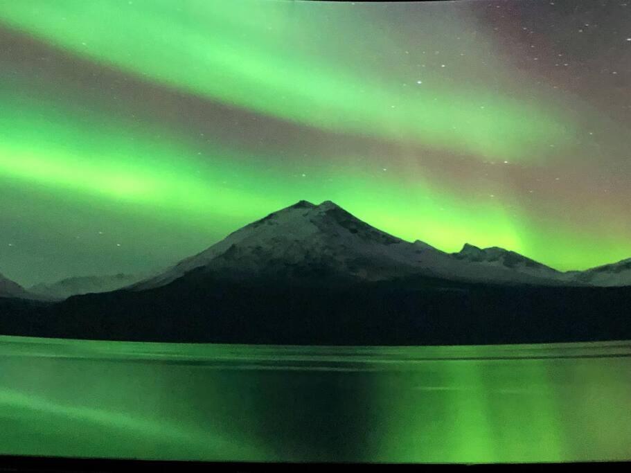 Northern Light Tromsø Kültér fotó